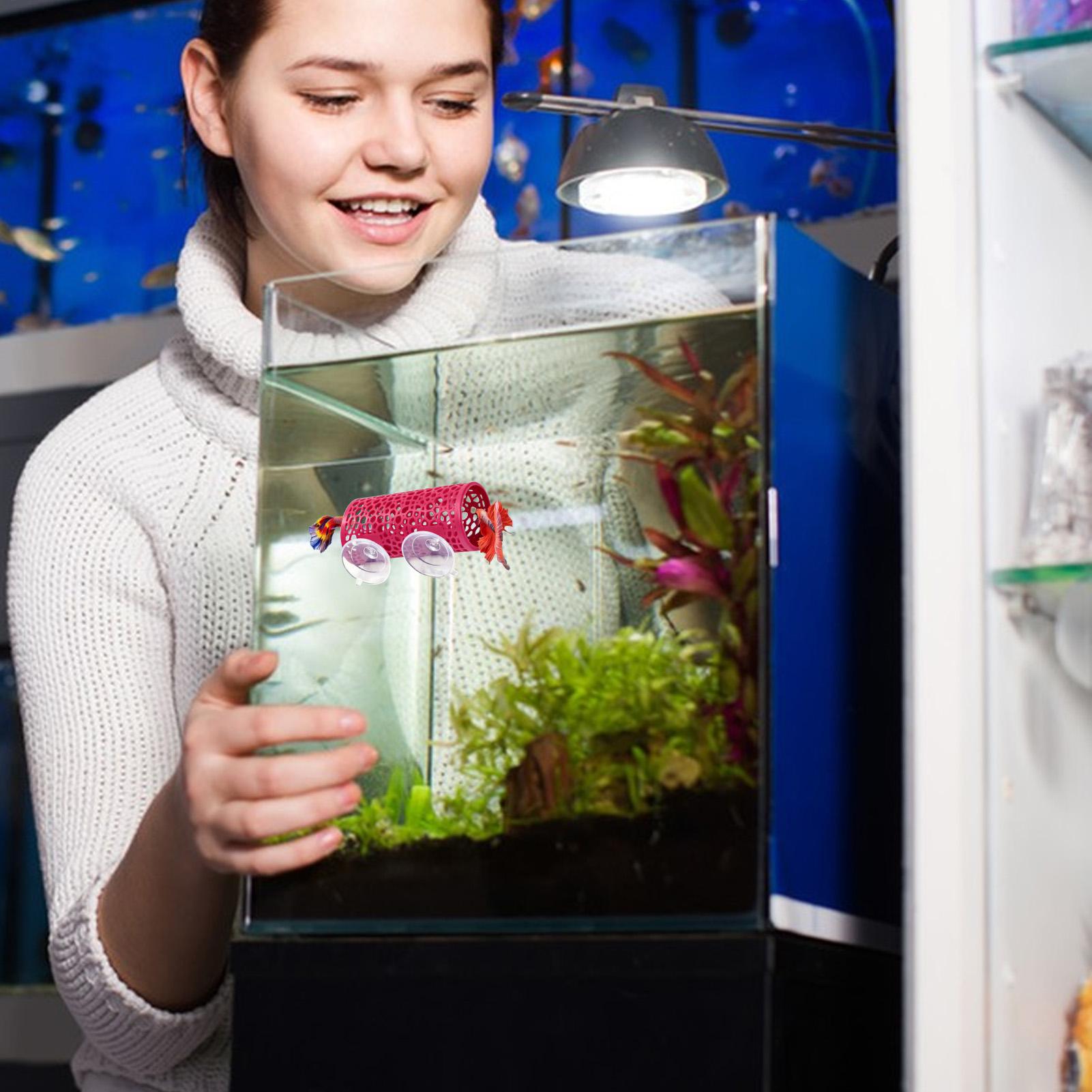Betta Fish Tank - Abrigo de Descanso para Bettas, Ornamento