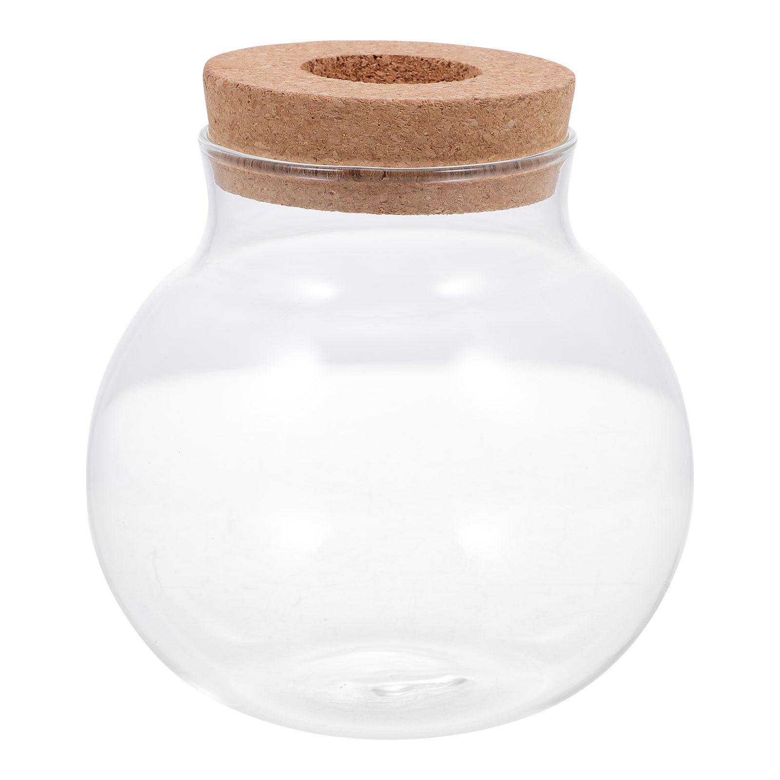 Aquarium Fish Keeping - Terrário de Vidro para Pequenas Plantas