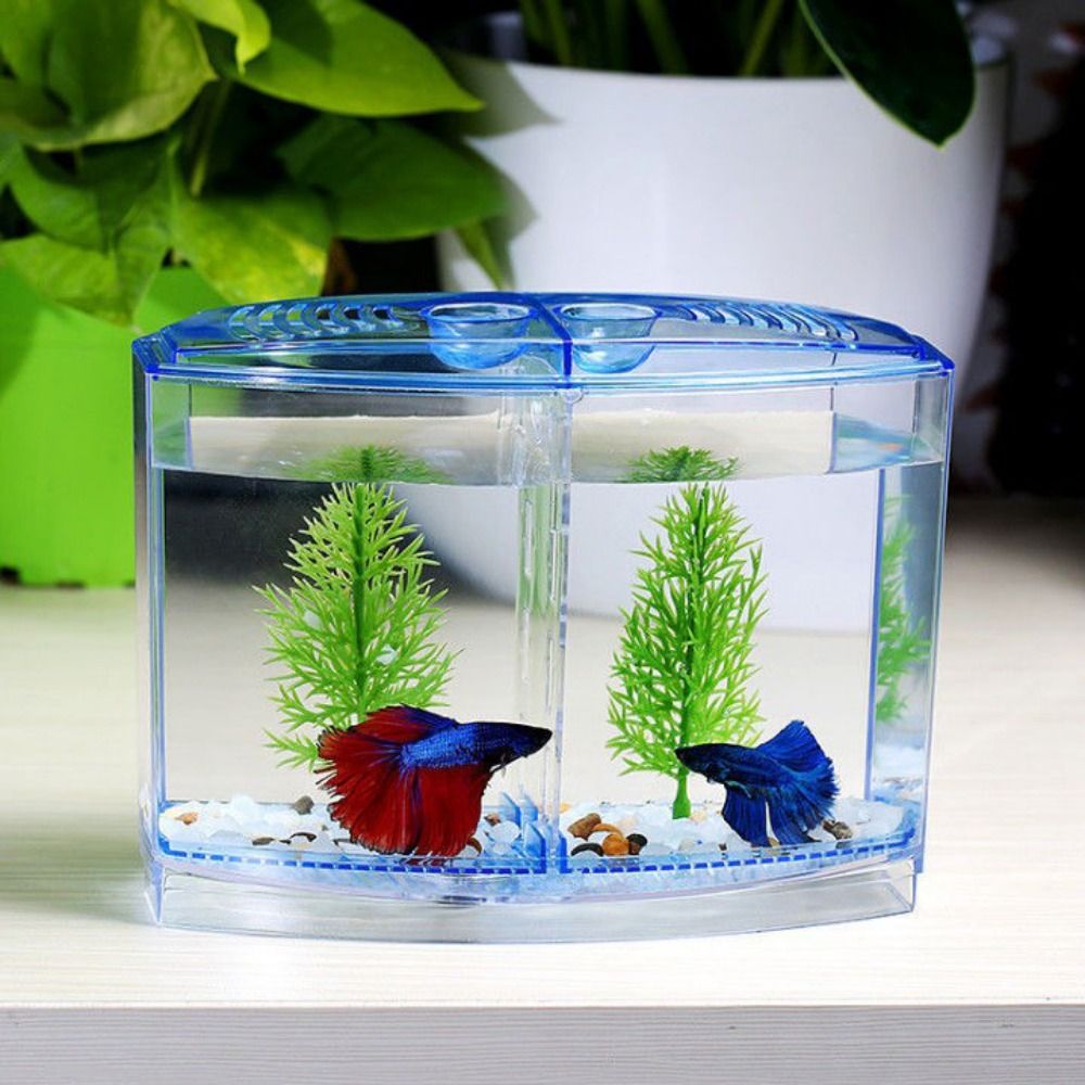 Betta Fish Tank - Transparente Betta Fish Tank, Double-Grid Rhombus