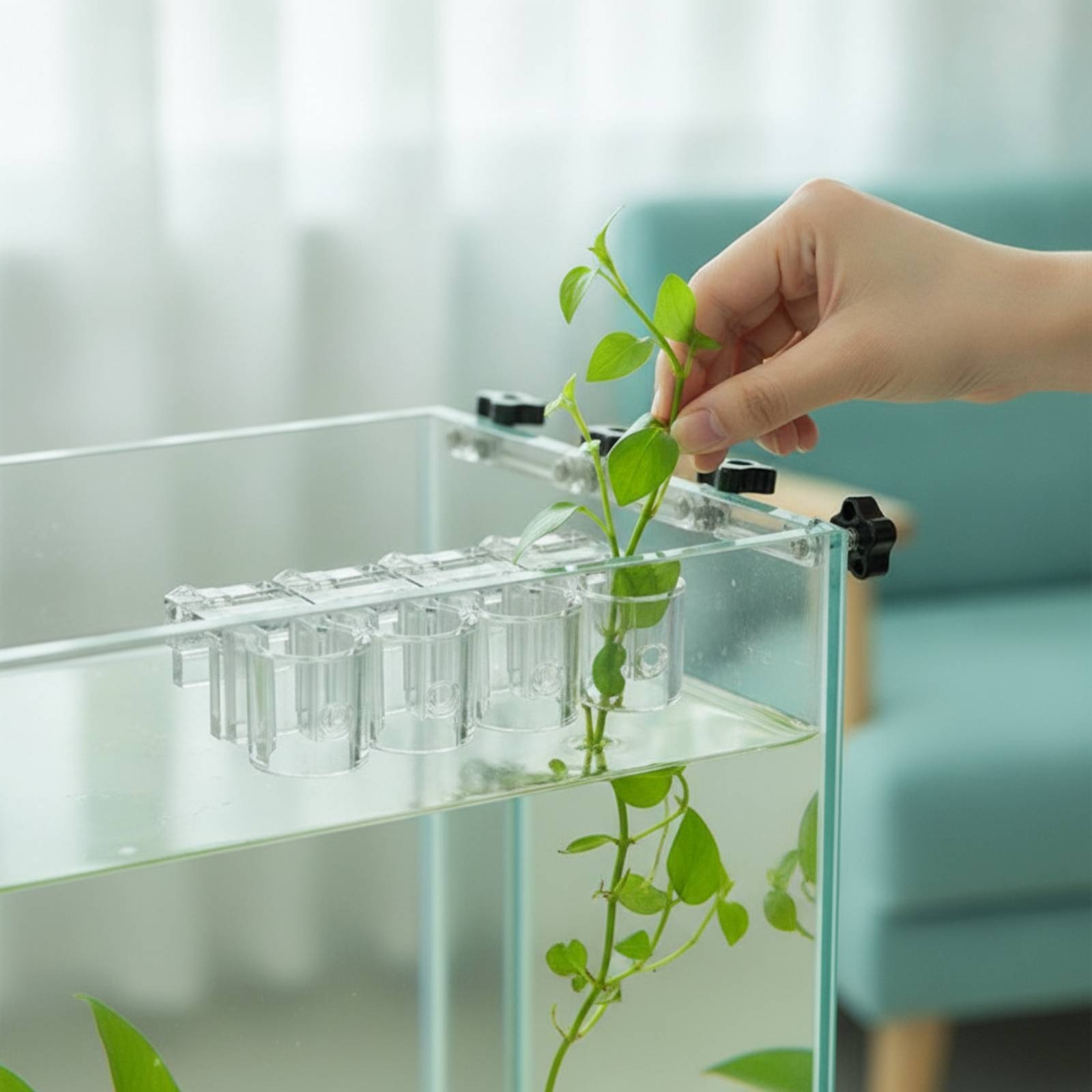 6 Peças de Suporte Hidropônico - Aquarium Plants avaliação e preço