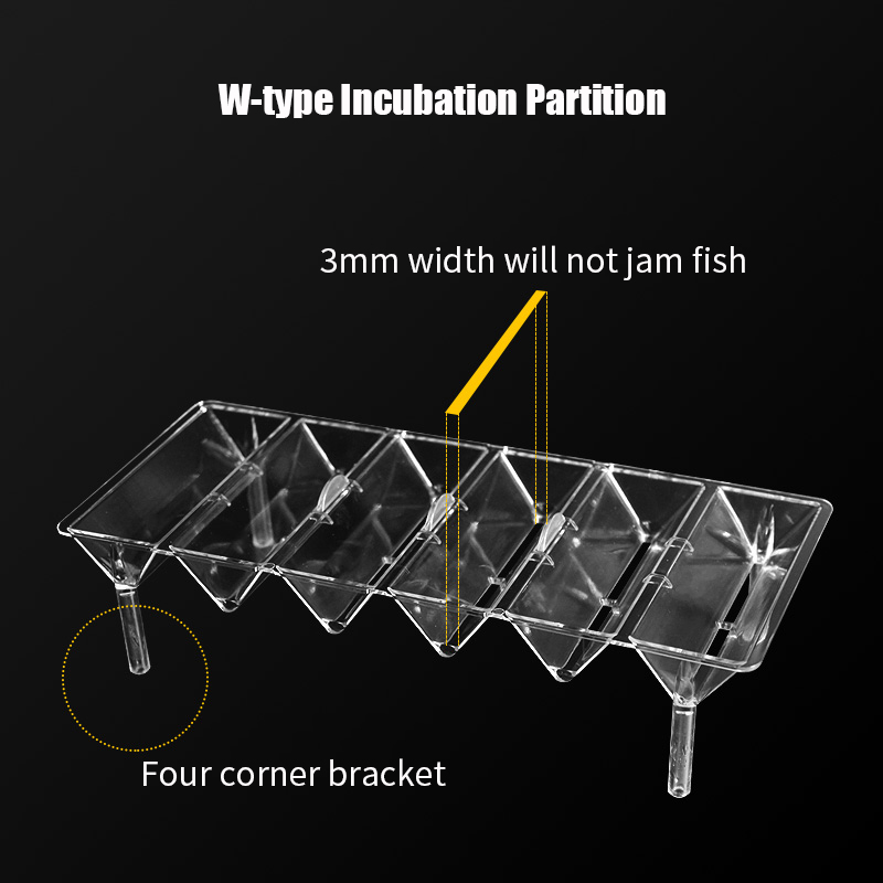 Caixa de isolamento para aquár - Betta Fish Tank avaliação e preço