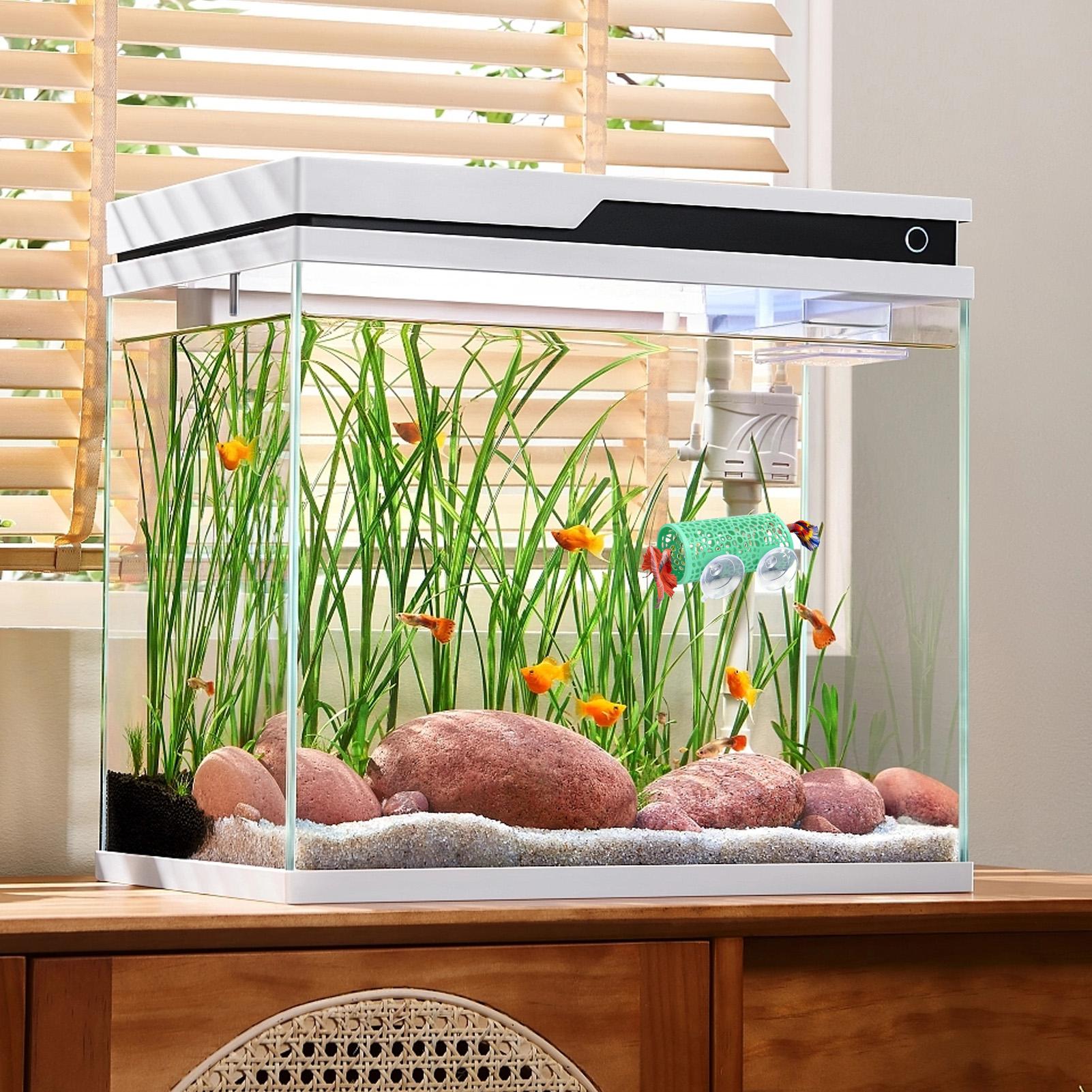 Abrigo de Descanso para Bettas - Betta Fish Tank avaliação e preço