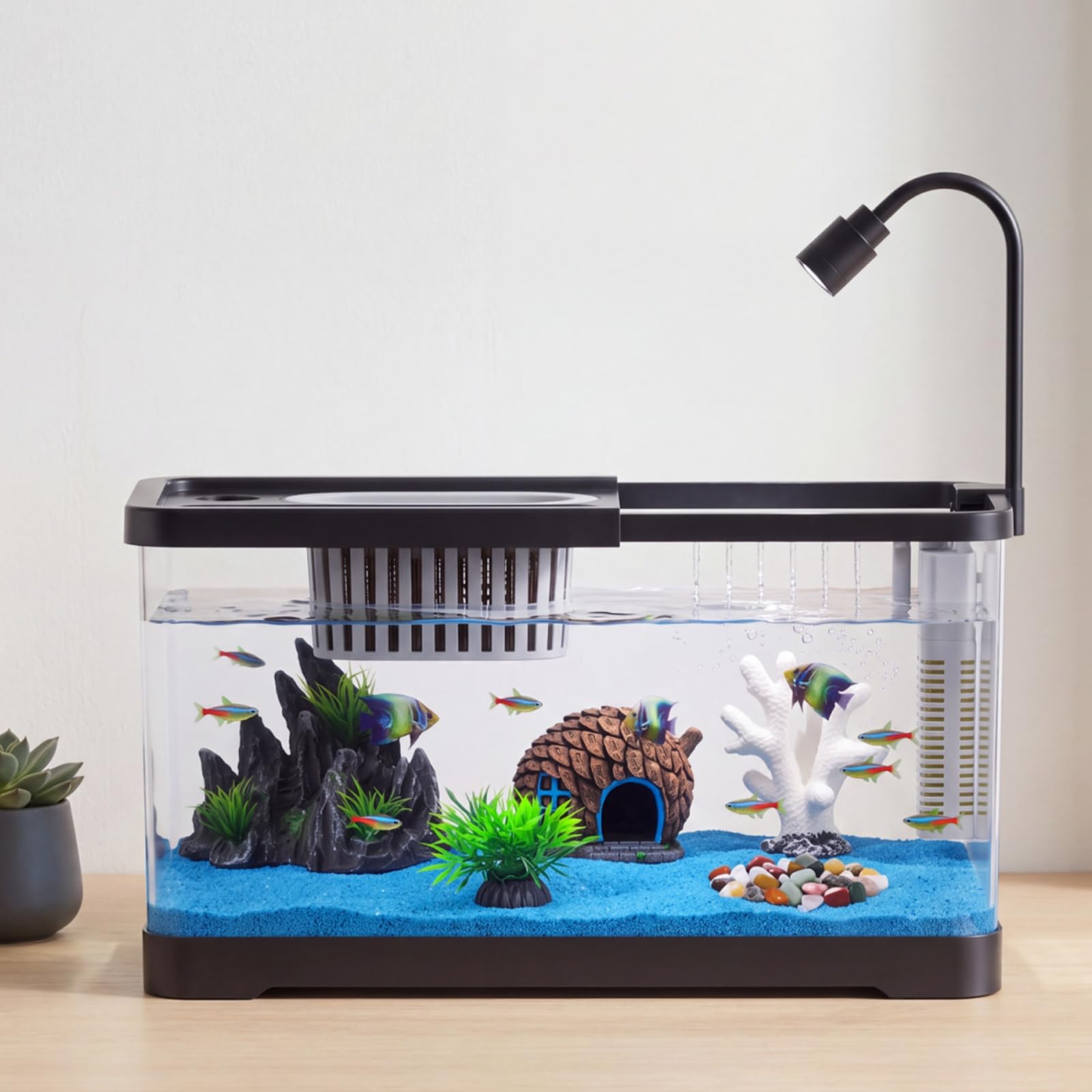 Kit Inicial para Aquário com F - Betta Fish Tank avaliação e preço