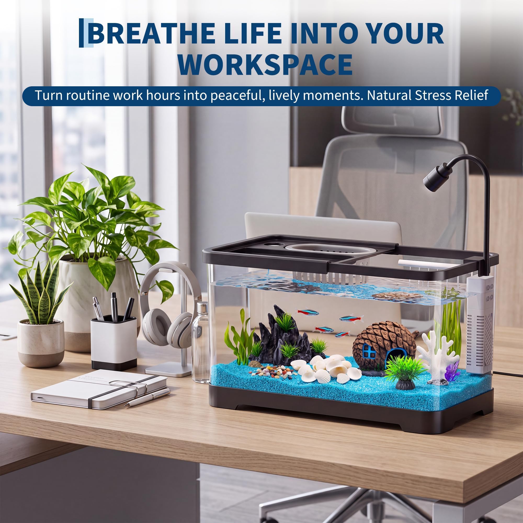 Kit Inicial para Aquário com F - Betta Fish Tank avaliação e preço