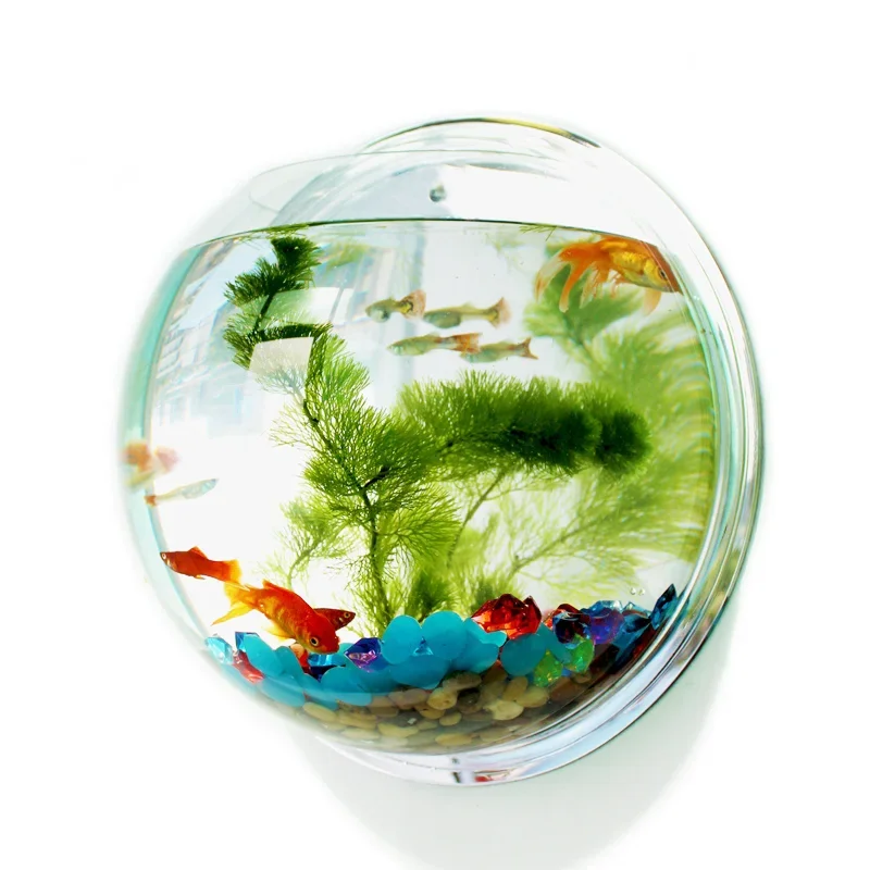 Pinsjar acrílico tigela de pei - Betta Fish Tank avaliação e preço