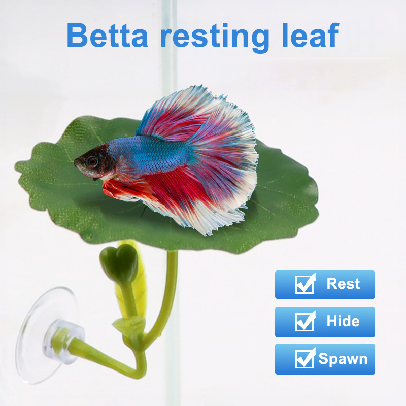 (Ce14)1/5PC Rede de Folhas Ver - Betta Fish Tank avaliação e preço