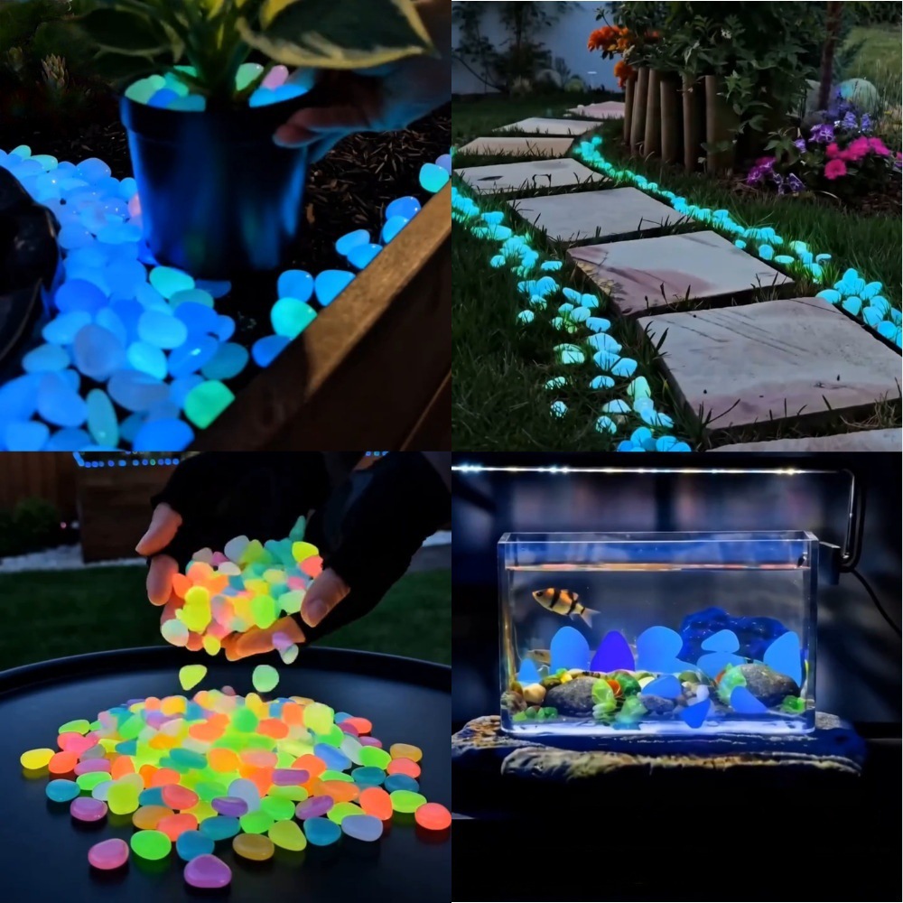 Pedras luminosas coloridas que - Aquarium Plants avaliação e preço