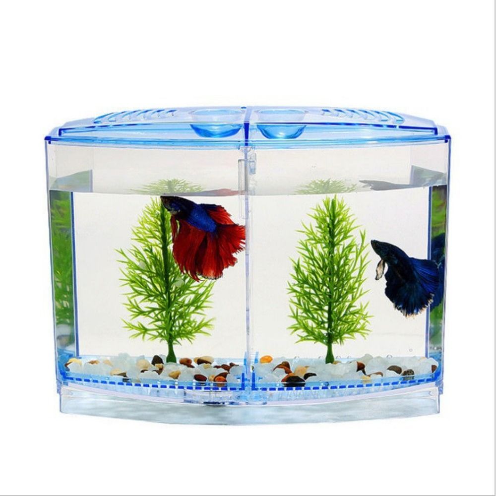 Transparente Betta Fish Tank,  - Betta Fish Tank avaliação e preço