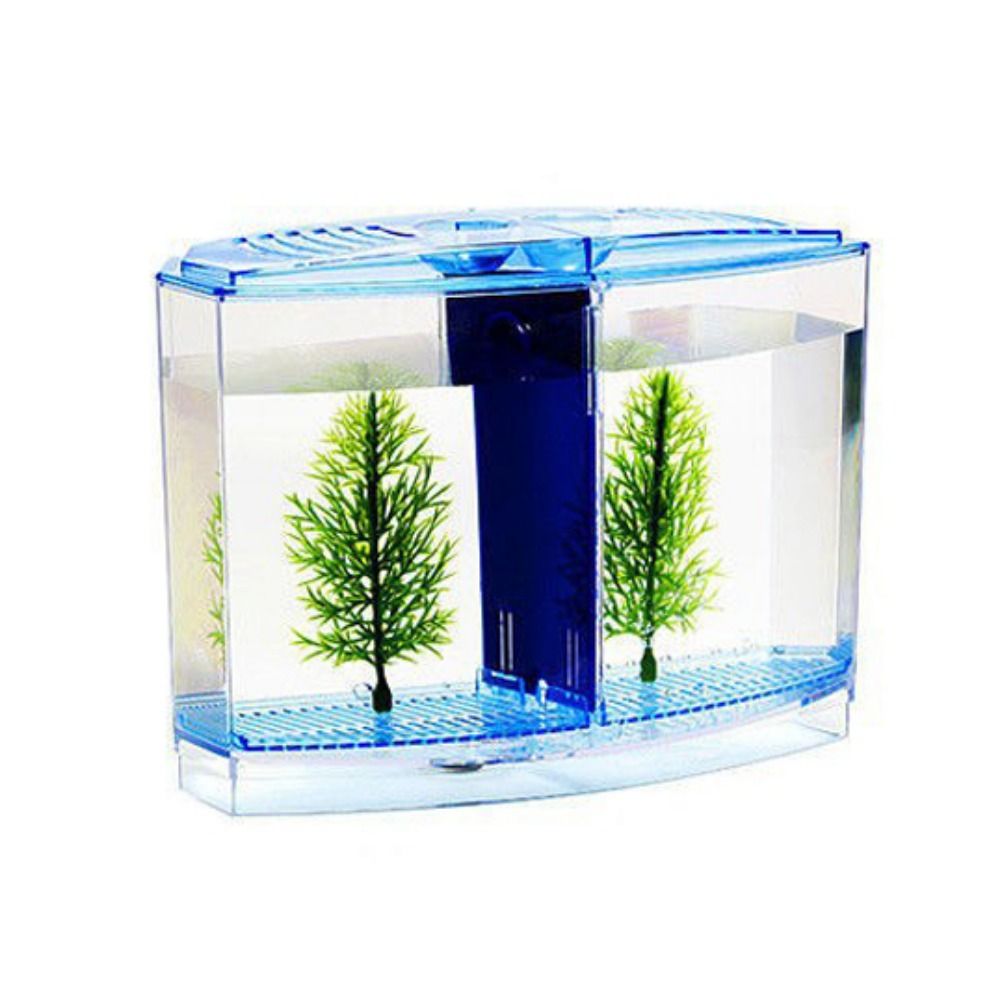 Transparente Betta Fish Tank,  - Betta Fish Tank avaliação e preço
