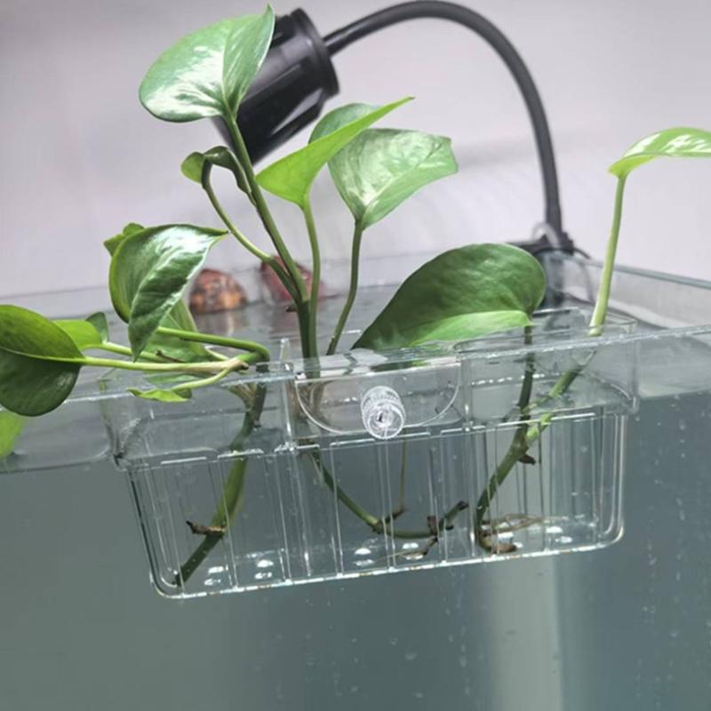 Cesto para Plantas Hidropônica - Aquarium Fish Tank avaliação e preço