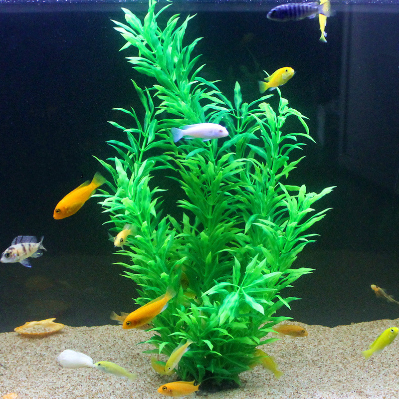 Plantas Artificiais Raras para - Fish Aquarium Home avaliação e preço
