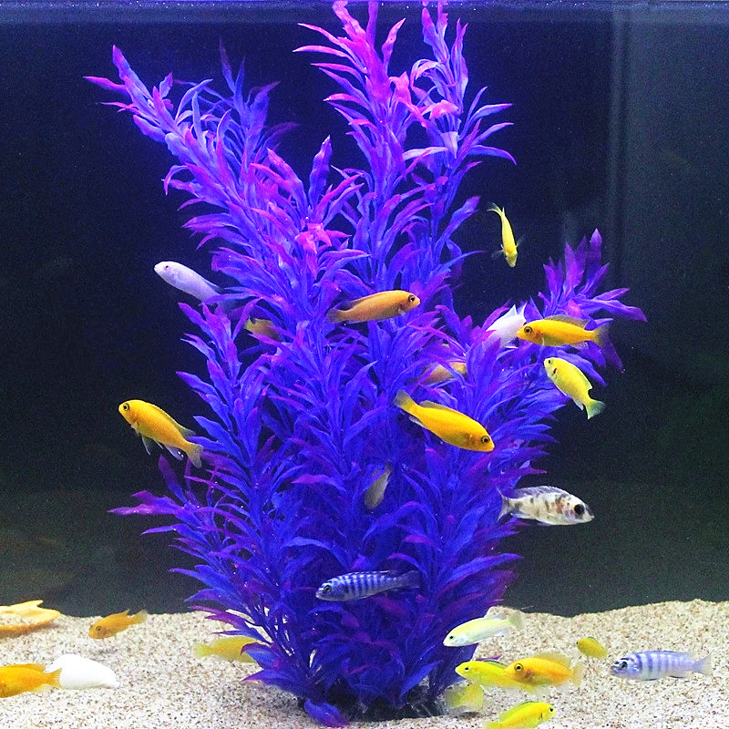 Plantas Artificiais Raras para - Fish Aquarium Home avaliação e preço