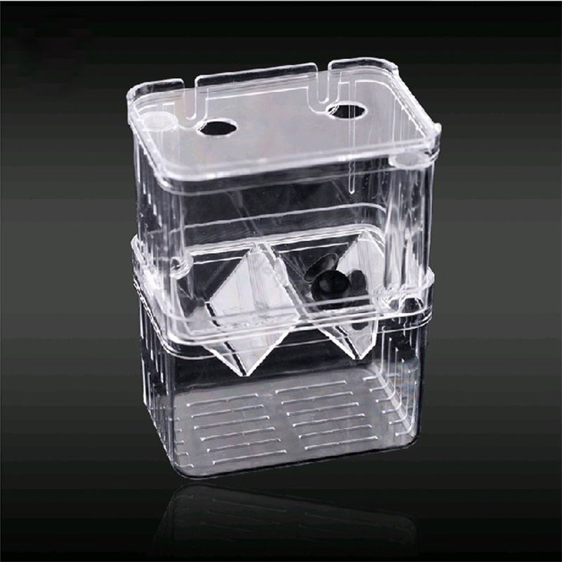 Caixa de isolamento para criaç - Betta Fish Tank avaliação e preço